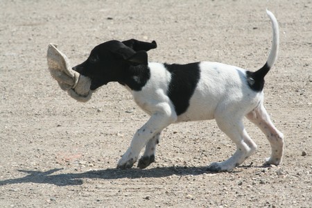 Click Picture to Enlarge